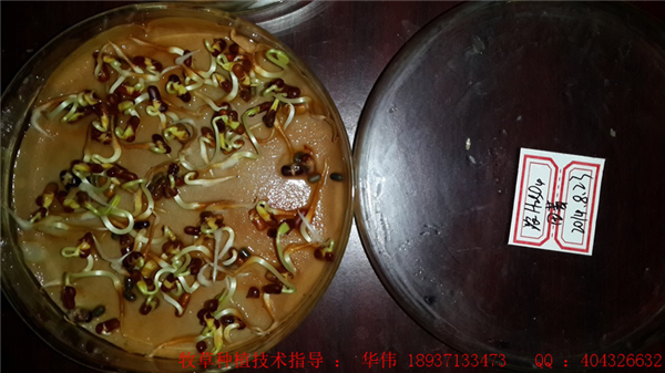 图片9.png